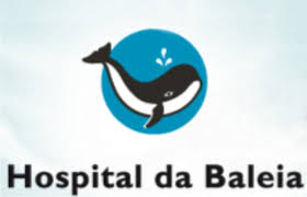 Hospital da Baleia 2017